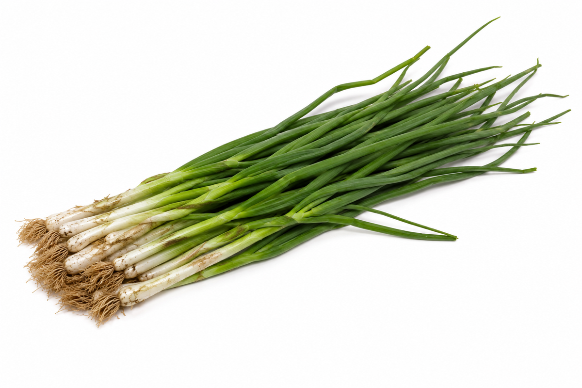 Oignons verts rustiques