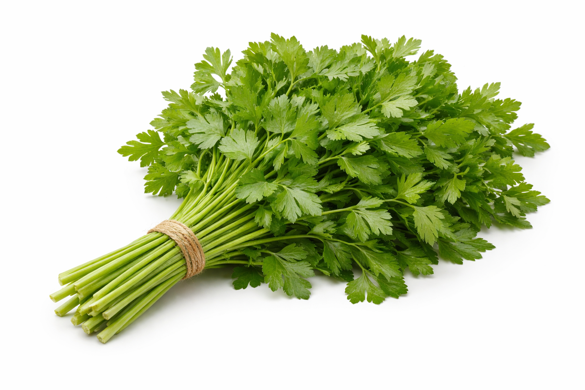 Italian parsley