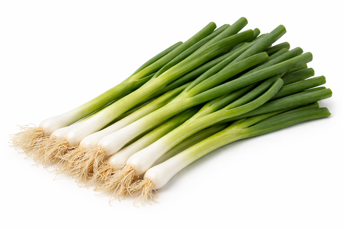 Oignons verts