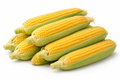 Sweet corn yellow