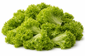 Green leaf lettuces