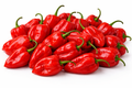 Piments Habanero rouges