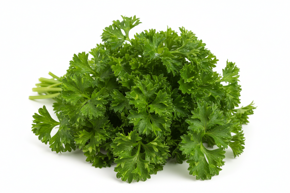 Curly parsley